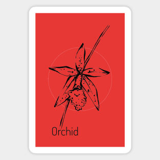 Orchid on red circle Magnet